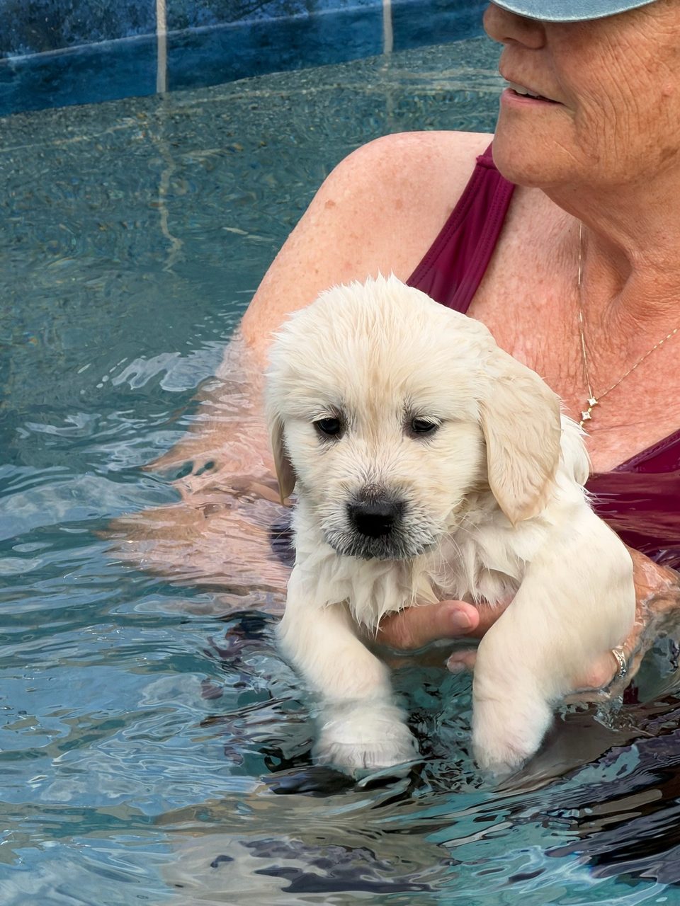 Pool Time photos